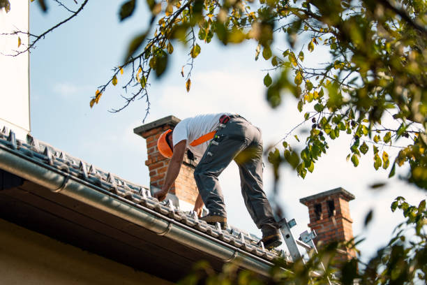 Best Metal Roofing Contractor  in Mokuleia, HI